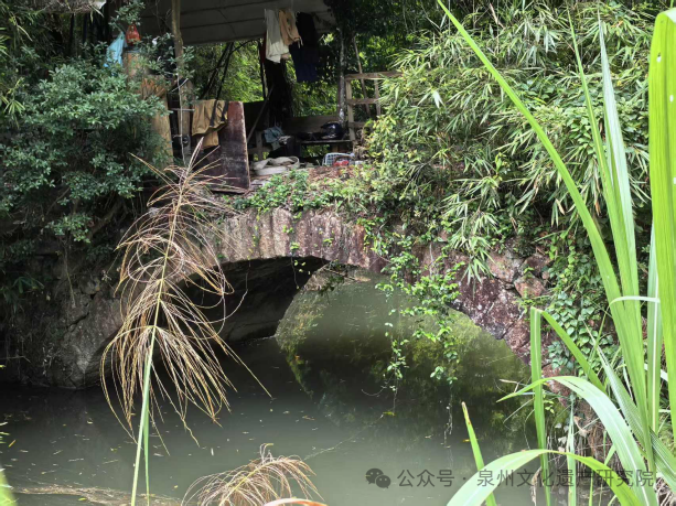 万里茶道申遗 | 安溪考古有了新发现