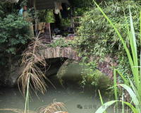 萬(wàn)里茶道申遺丨安溪考古有了新發(fā)現(xiàn)
