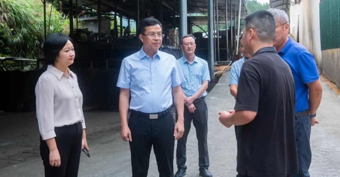 德化县县长吴志朴到杨梅乡调研