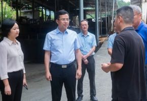 德化县县长吴志朴到杨梅乡调研