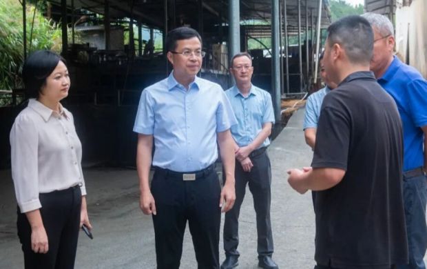 德化县县长吴志朴到杨梅乡调研