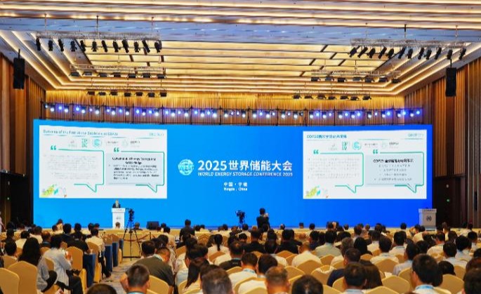 国际可再生能源署在宁德发布其全球首份储能专题报告
