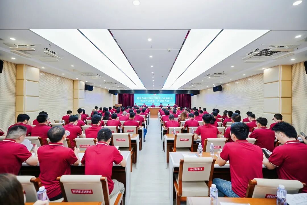 泉州台商投资区跨境电子商务协会成立