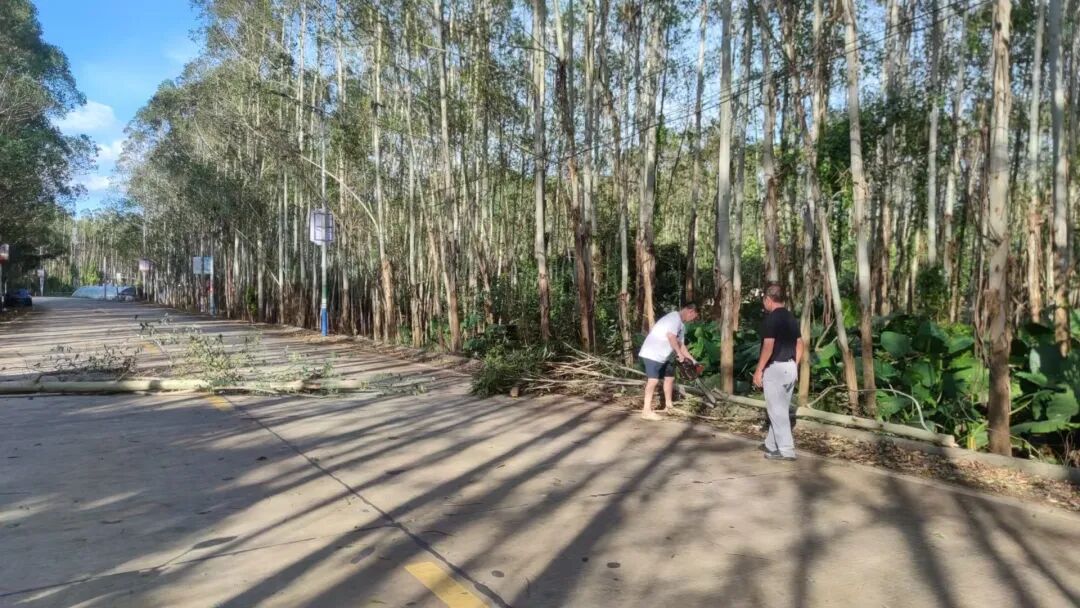 严阵以待！诏安各级各部门全力防御台风“桦加沙”