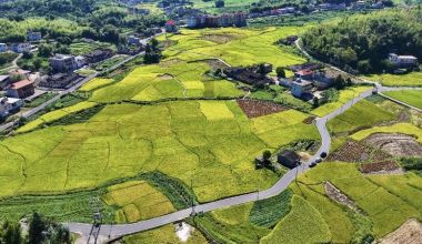泉州永春：千亩良田建设绘就乡村振兴好图景