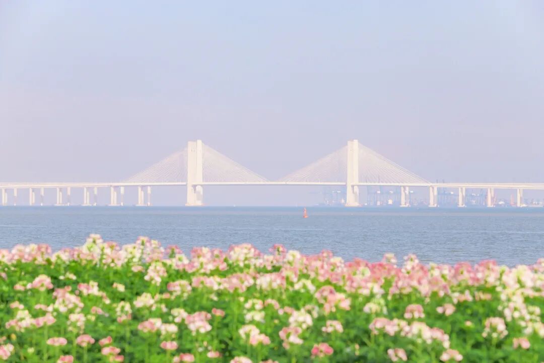 裬磡Ѱһ