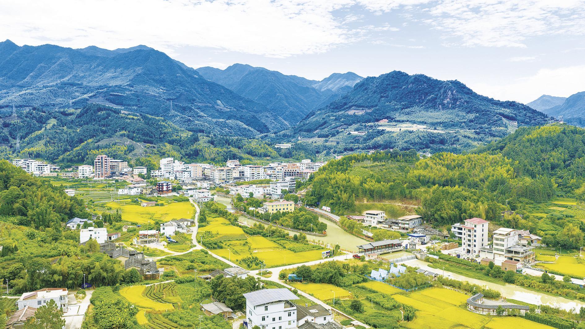 安溪县部分乡镇晚稻已陆续进入成熟收割期