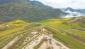 南平政和：云上梯田 “吃上文旅饭”