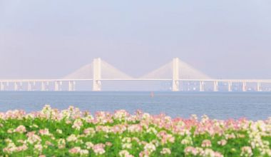 醉蝶輕舞，看海聽風！來豐澤，尋一場秋日緋夢