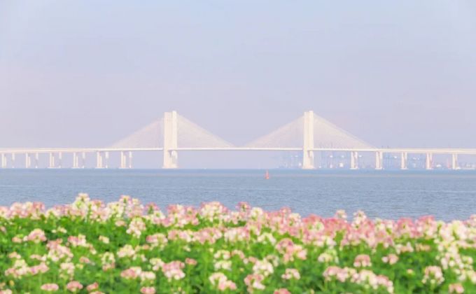 醉蝶輕舞，看海聽風！來豐澤，尋一場秋日緋夢