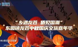 “鄉(xiāng)遇龍蒼 僑見國潮”泉州臺商投資區(qū)東園鎮(zhèn)龍蒼中秋國慶文旅嘉年華(視頻)