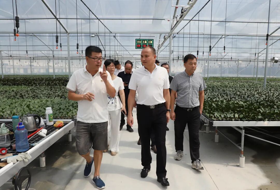 漳浦县委书记深入闽台产业融合花卉基地现场办公