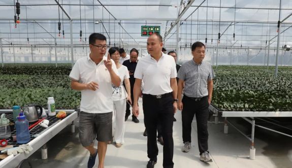 漳浦縣委書記深入閩臺產業融合花卉基地現場辦公