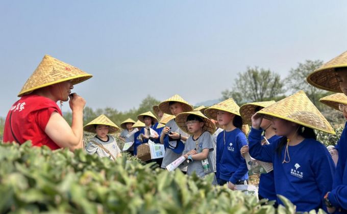 跨越山海，“大動脈”上的協作故事②｜合福高鐵：串起“黃金旅游帶”和生態致富圈