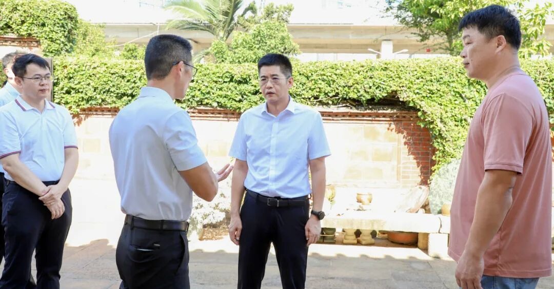 豐澤區委主要領導調研僑務工作