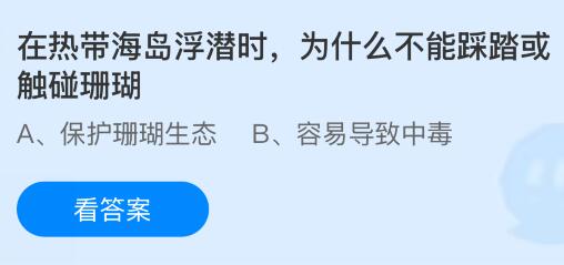 在热带海岛浮潜时为什么不能踩踏或触碰珊瑚？蚂蚁庄园课堂今天答案最新10月14日