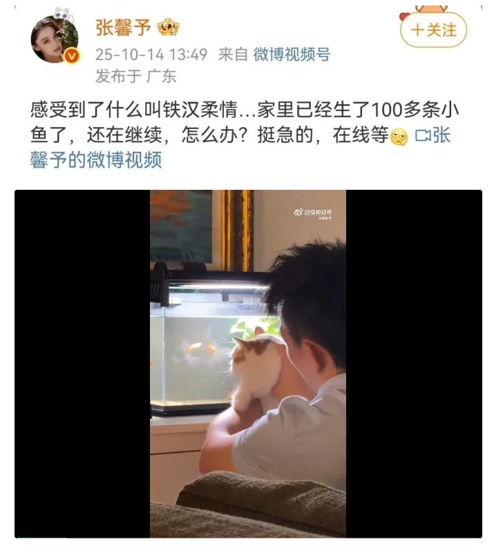 張馨予曬丈夫養(yǎng)魚視頻：家里生了100多條小魚
