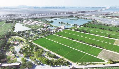 泉州發布首批“世遺泉州·田園風光”認定名單  石獅市蚶江濕地田園風光入選