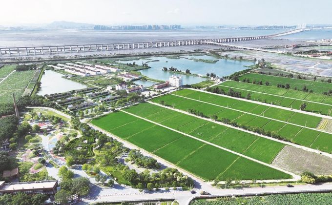 泉州發布首批“世遺泉州·田園風光”認定名單  石獅市蚶江濕地田園風光入選