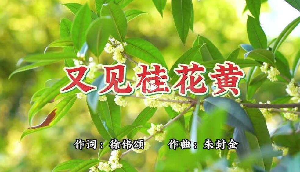 （咸宁宣传歌曲）又见桂花黄