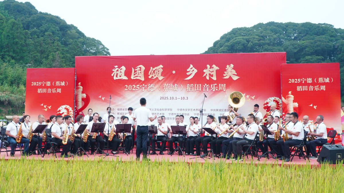 宁德观察丨稻旅融合 田园欢歌
