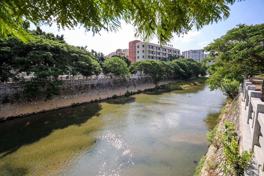 石獅山雅溝支流系統(tǒng)整治工程完工
