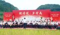 宁德观察丨稻旅融合 田园欢歌