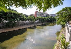 石狮山雅沟支流系统整治工程完工