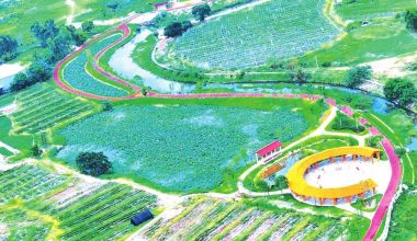 乡村振兴怎么干？官桥给出特色答卷！