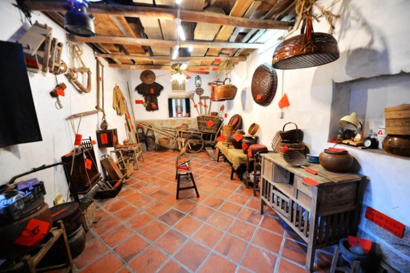 【何以省新】南金村：农耕记忆与现代教育共绘乡村振兴新图景