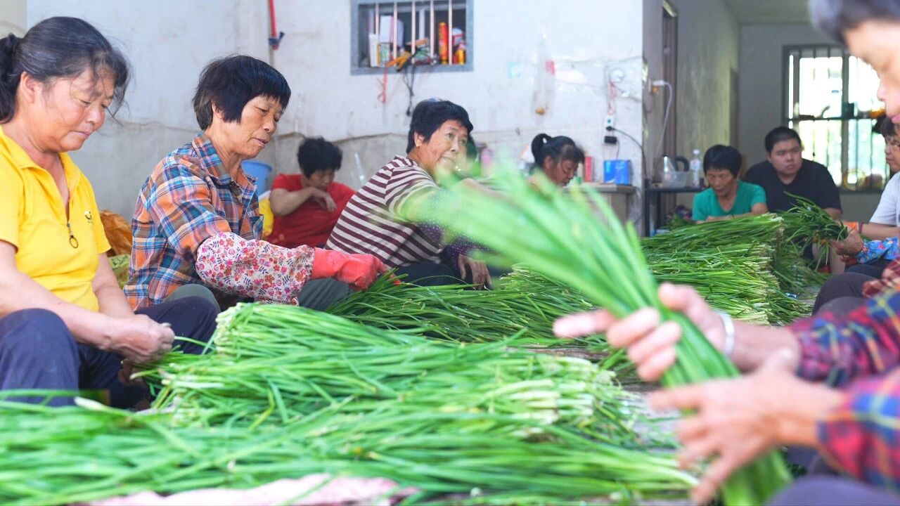 长泰：乡村致富路 村民谋共富