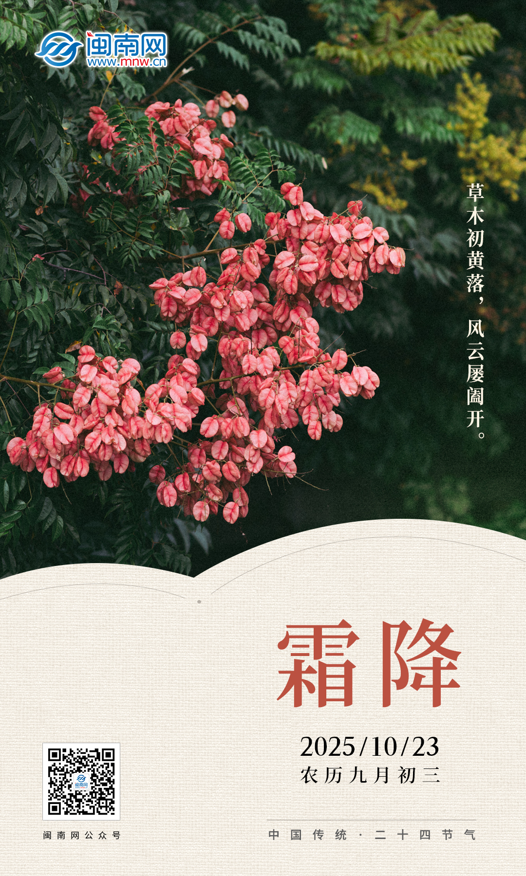 微信圖片_20251023070003_248_8