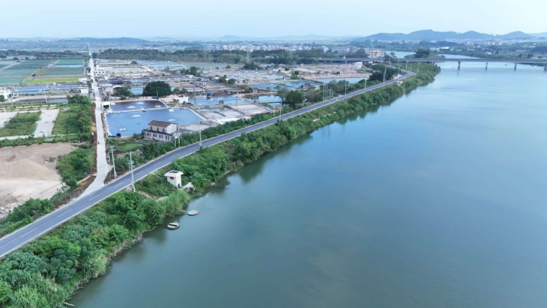 【奋勇争先这一年】诏安桥东镇：凝心聚力谋发展 奋勇争先促振兴