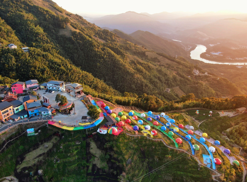 扎根沃土 担当如松