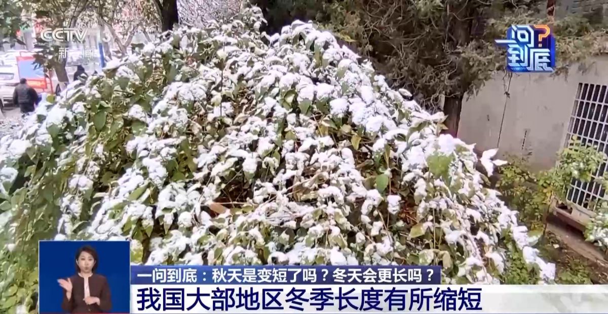 今年冬天是冷冬吗?冷暖起伏大是何原因?专家解读