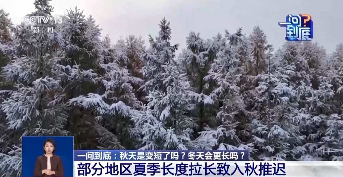 今年冬天是冷冬吗?冷暖起伏大是何原因?专家解读
