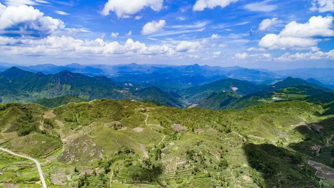 【奋勇争先这一年】奋楫笃行勇争先 魅力官陂启新程