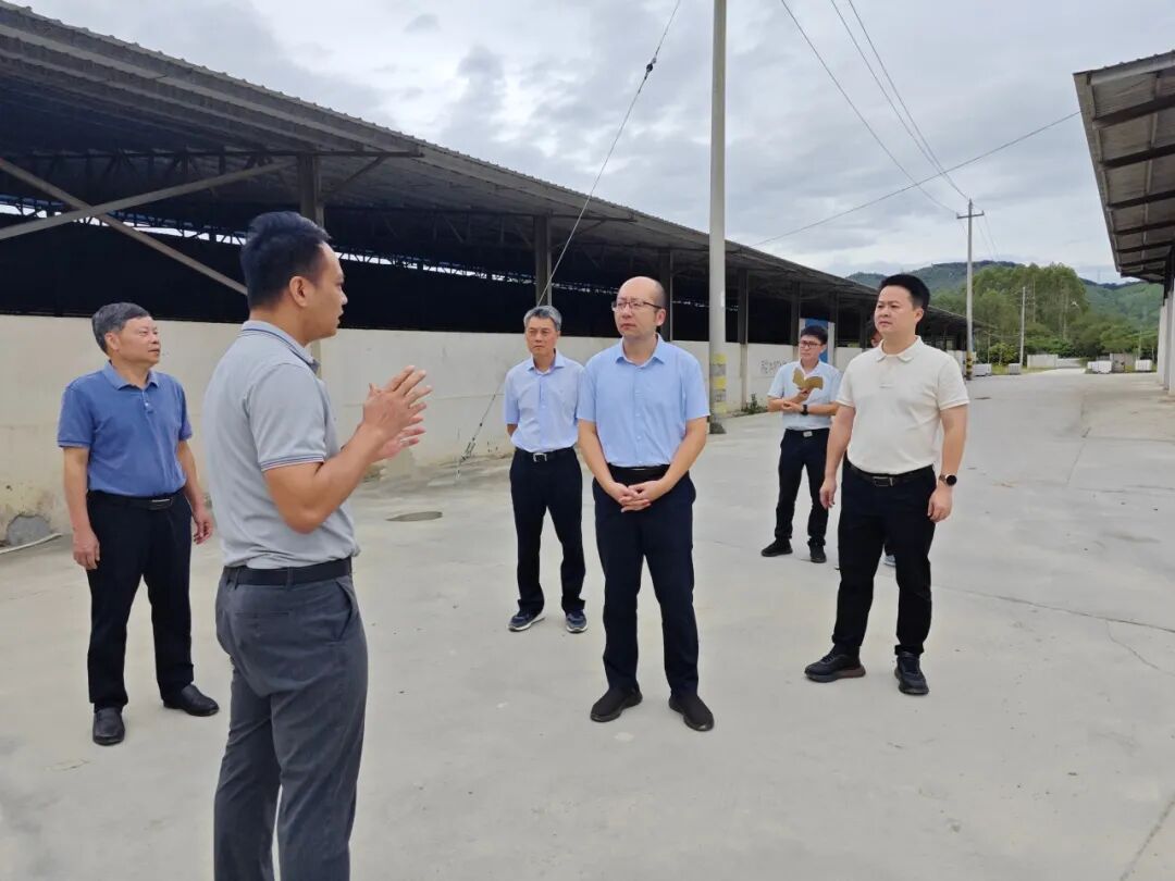 诏安县县长调研农业资源化利用企业