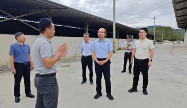 詔安縣縣長調(diào)研農(nóng)業(yè)資源化利用企業(yè)