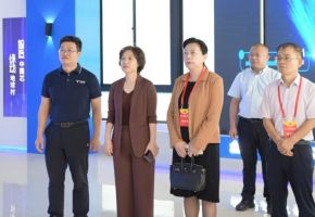 泉州市政協委員豐澤活動組蒞惠開展年度視察活動