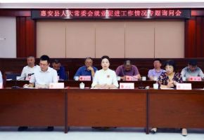 惠安縣人大常委會召開就業促進工作專題詢問會