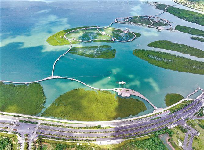 我市将生态环境分区管控制度建设成果以特区法规形式固化下来。图为下潭尾红树林公园。(记者 王火炎 摄)