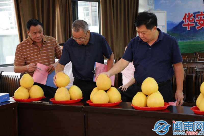 华安：坪山柚柚王诞生