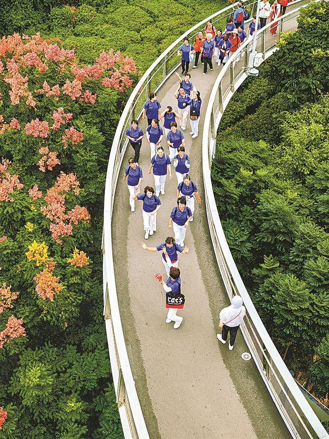 厦门山海健康步道云海线仙岳山悠然园一带，赏秋的人络绎不绝。（厦门日报拍客 代岩 摄）