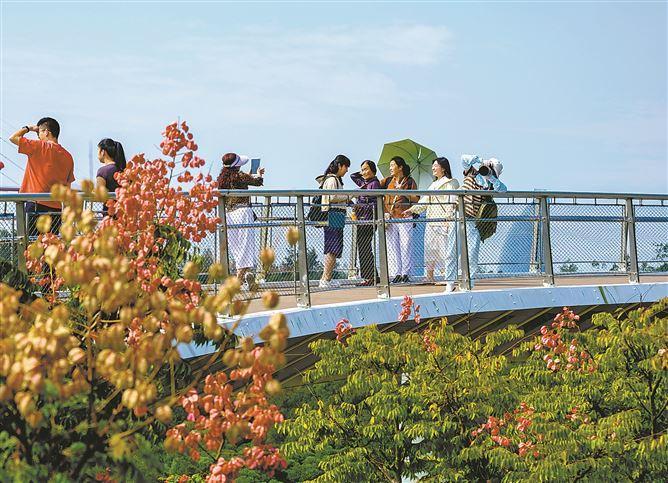 厦门万石植物园南门，秋意正浓。（厦门日报拍客 静心 摄）