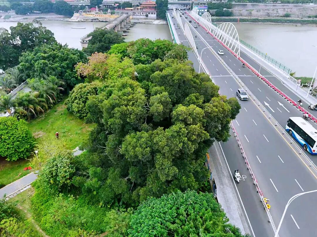 街头上新了！鲤城人的“小确幸”！