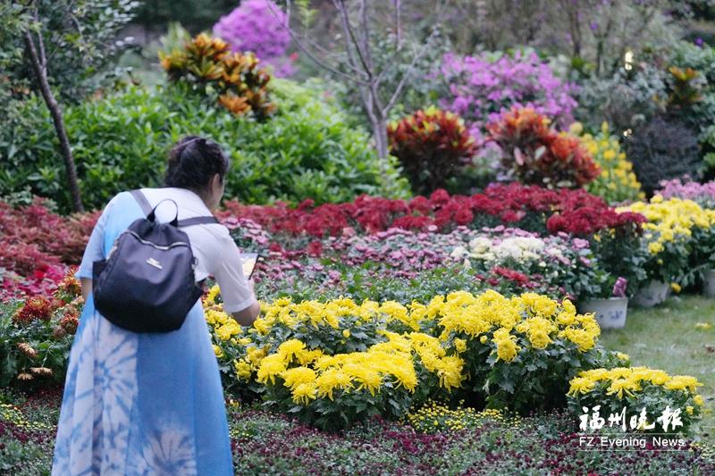 入秋后福州天气多变 气温“上蹿下跳”雨水不时“打卡”