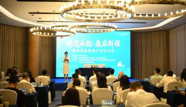 “非遗承韵·惠启新程”——惠安县借力文博会举办专场招商推介会