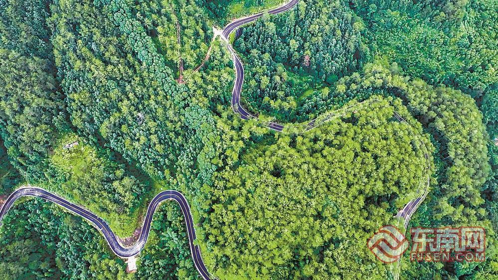 绿道织锦 古城焕新