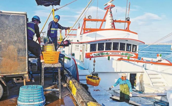 两岸活鱼 “鲜”速流通